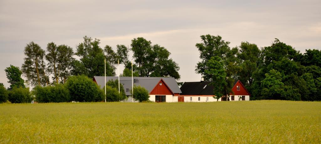 Nils Holgerssongarden Bed & Breakfast Skurup Exterior photo